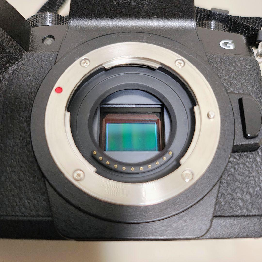 LUMIX G99 ＆ 20mm F1.7 & 128GBメモリ付き