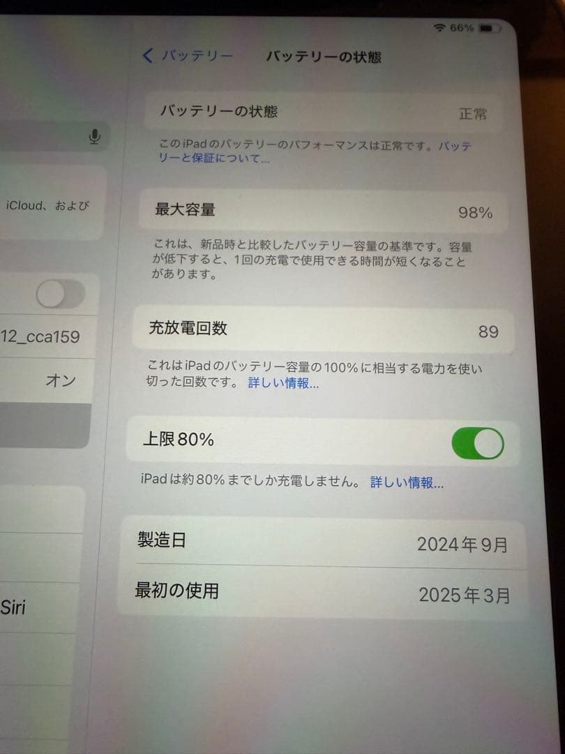 iPad mini（A17 Pro）Wi-Fi 128GB ブルー　極上品
