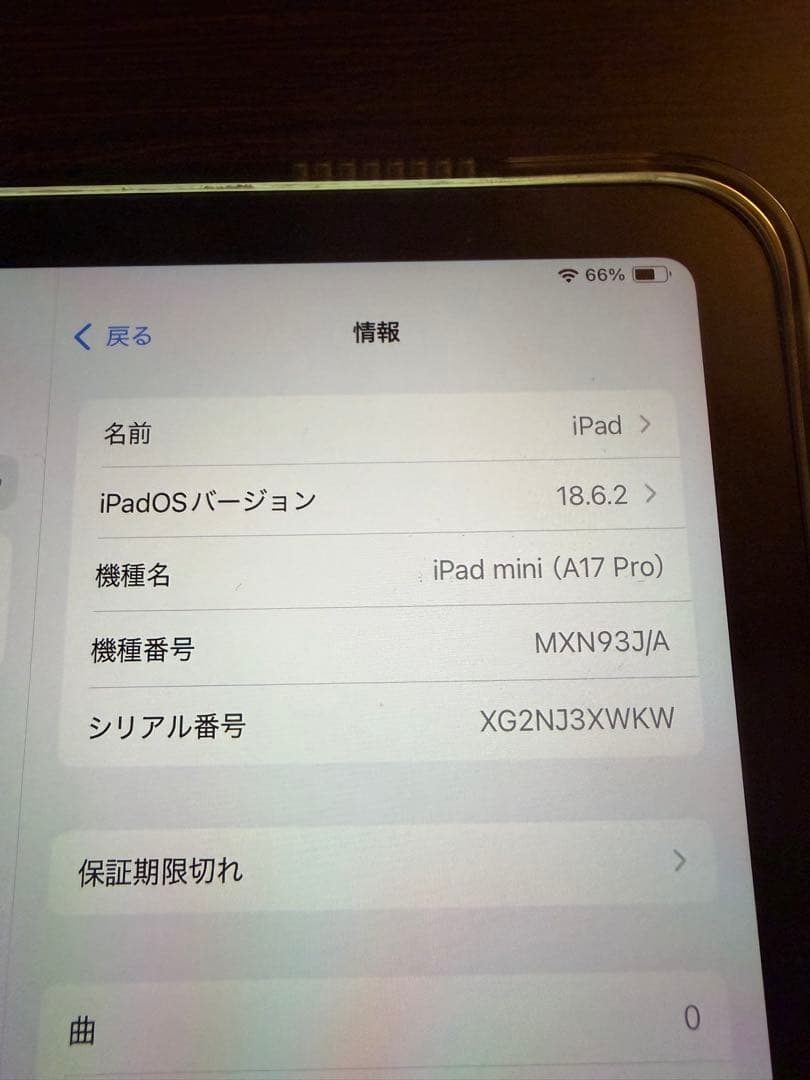 iPad mini（A17 Pro）Wi-Fi 128GB ブルー　極上品