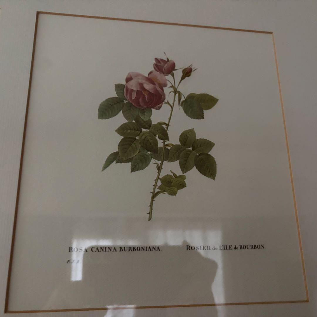 ローラアシュレイ 薔薇の額絵