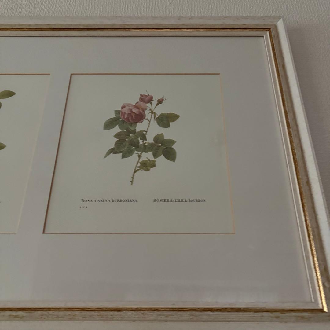 ローラアシュレイ 薔薇の額絵