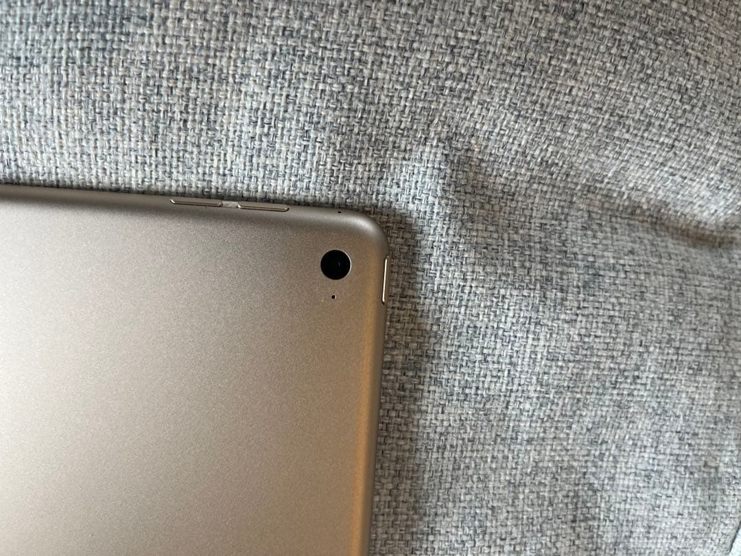 早い者勝ちiPad mini4 レア64GB color pink 画面美品