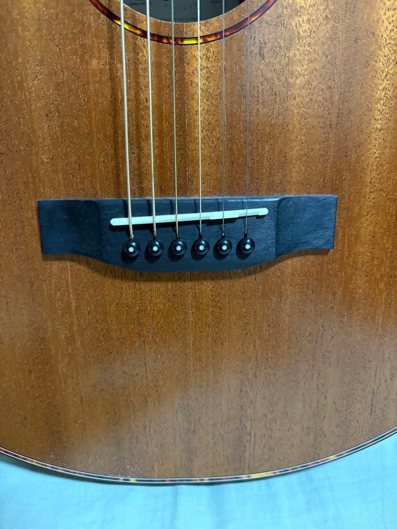 ギター ELVIS Master Mini