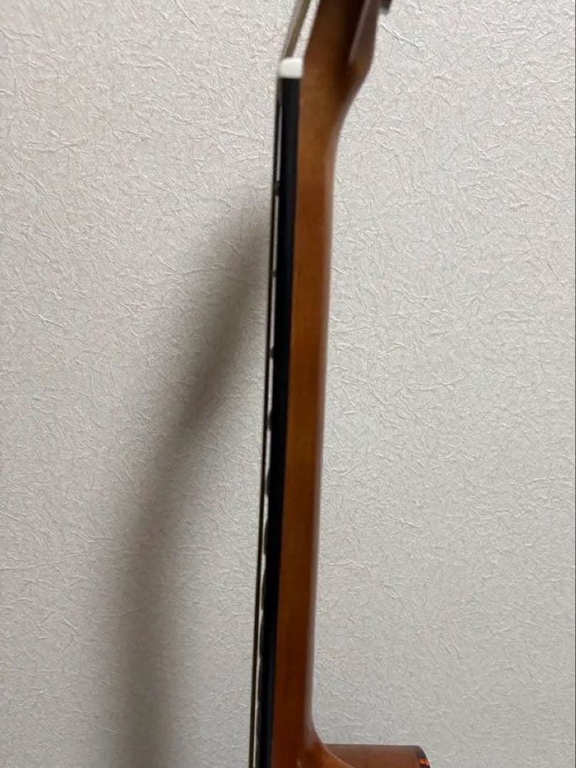 ギター ELVIS Master Mini