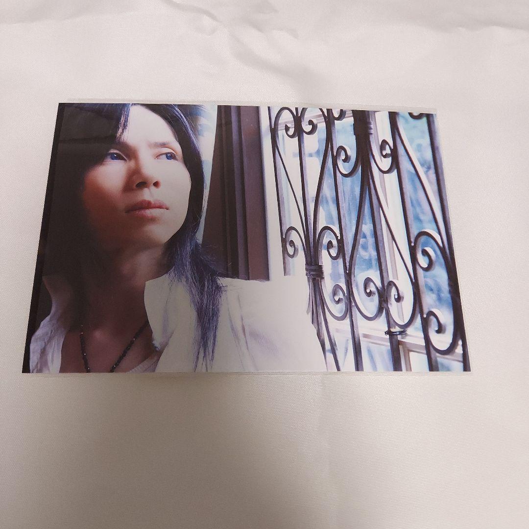 Acid Black Cherry　BLACKBOXポストカード付き