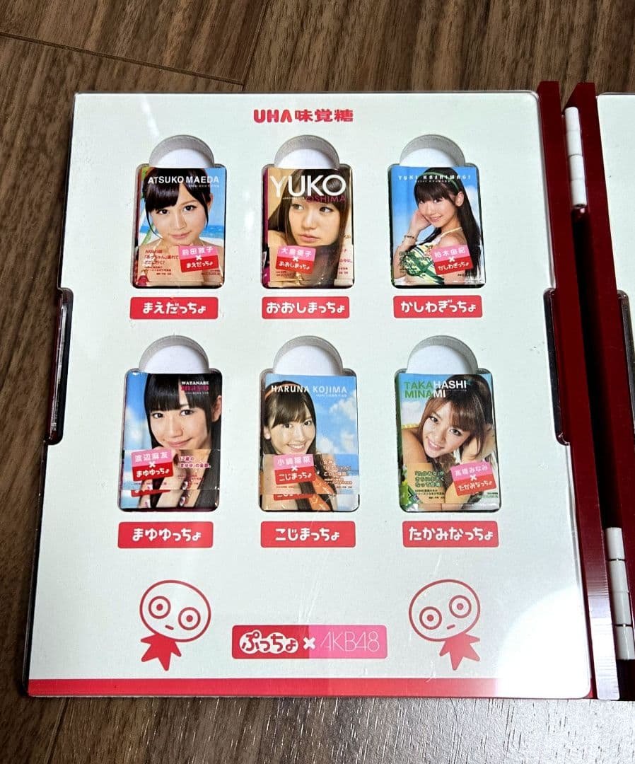 ぷっちょ × AKB48 オリジナルミニ写真集 12種セット（専用ケース入）