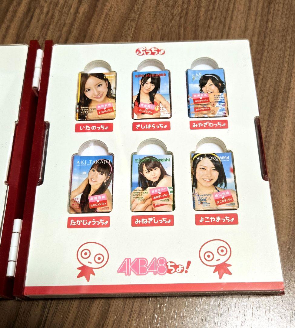 ぷっちょ × AKB48 オリジナルミニ写真集 12種セット（専用ケース入）