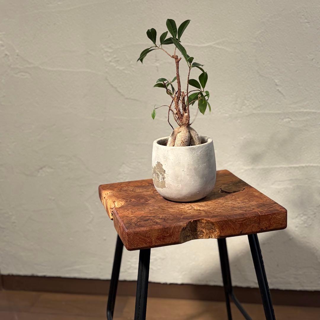 無垢材×鉄脚　スツール サイドテーブル