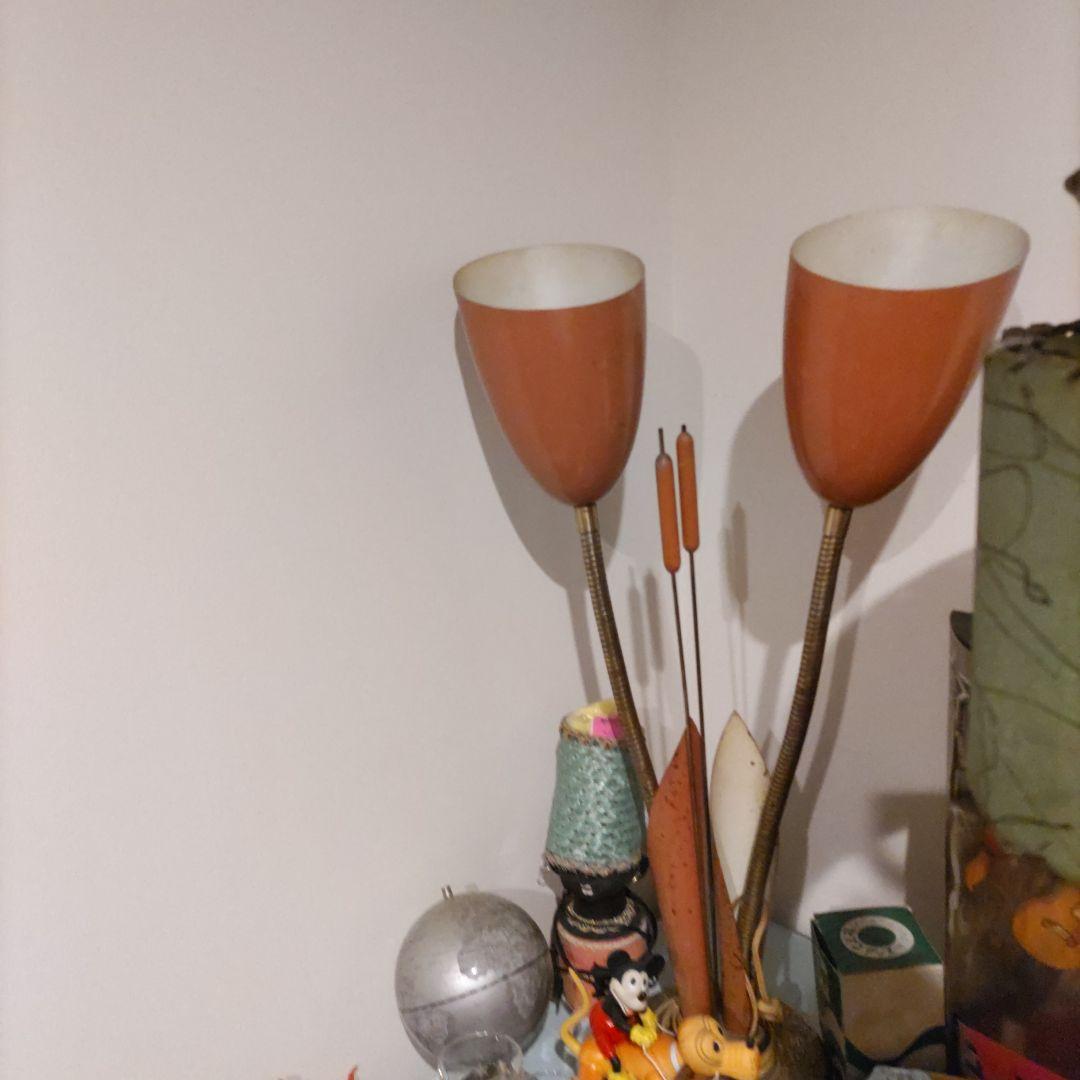 食器 50.s