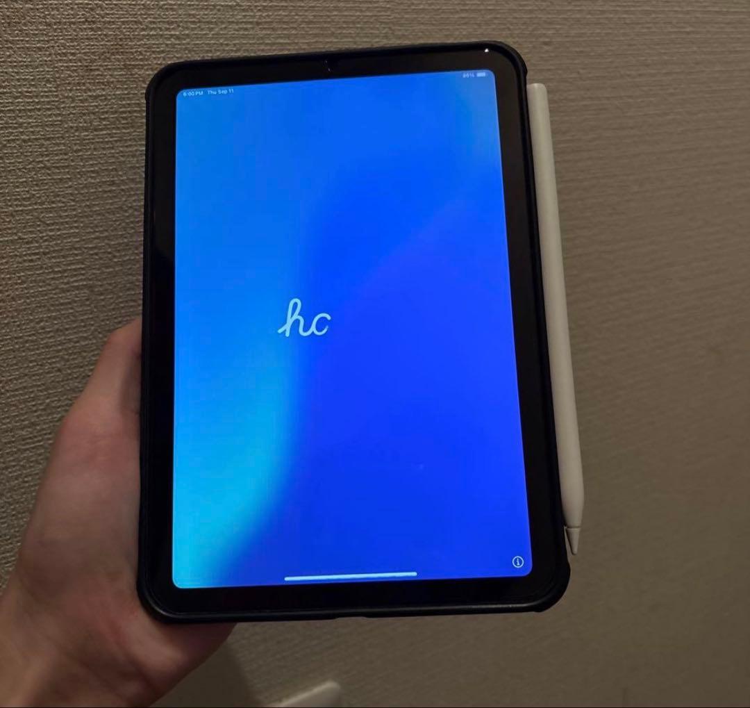 イ*シ様 iPad mini 6 256gb sim フリー