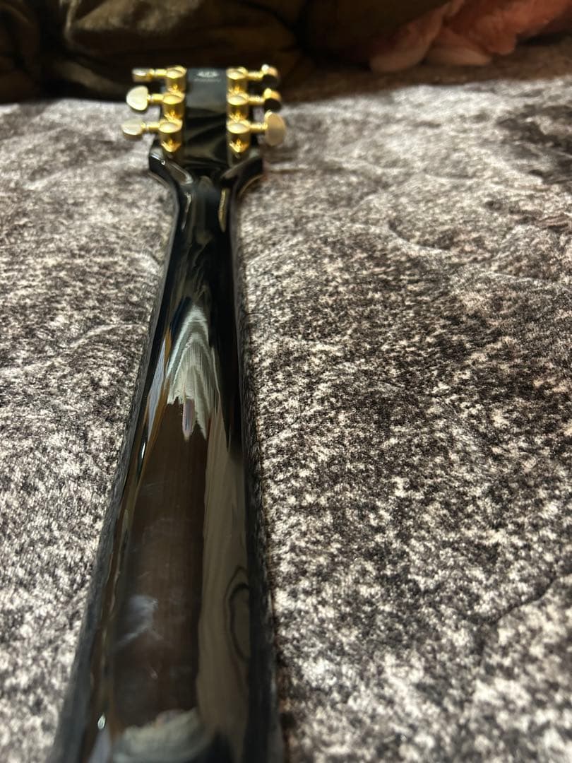 レスポールタイプ　CoolZcustom