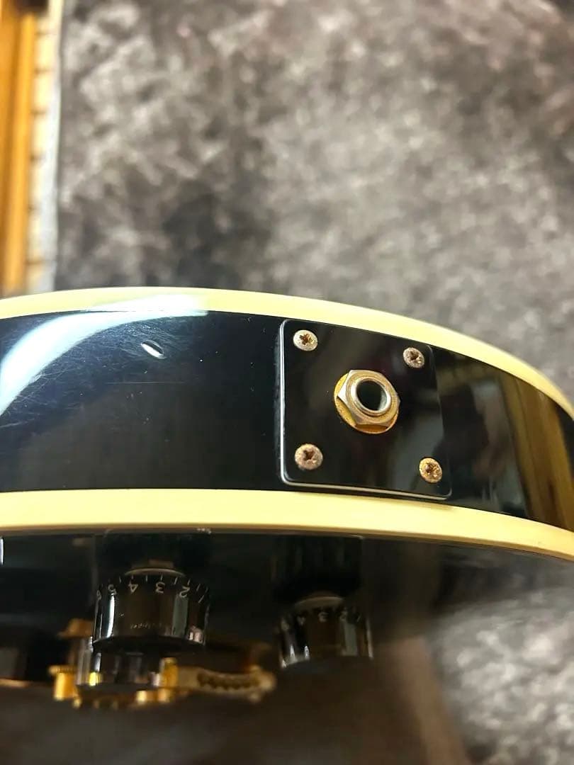 レスポールタイプ　CoolZcustom