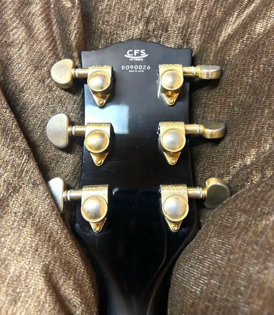 レスポールタイプ　CoolZcustom