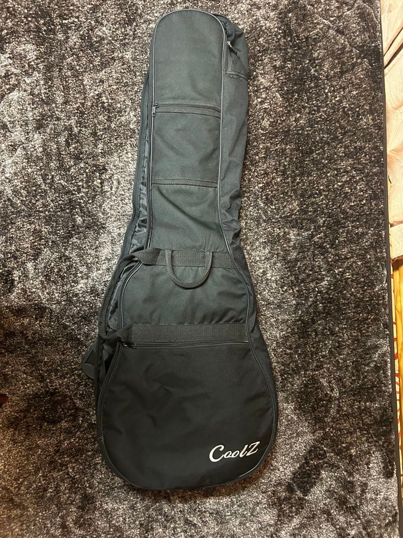 レスポールタイプ　CoolZcustom