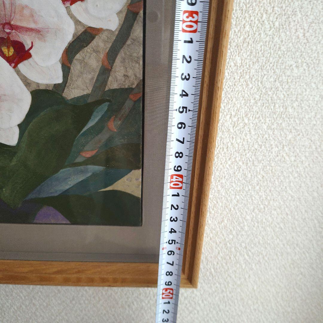 胡蝶蘭と蝶の日本画　作家原画印入り