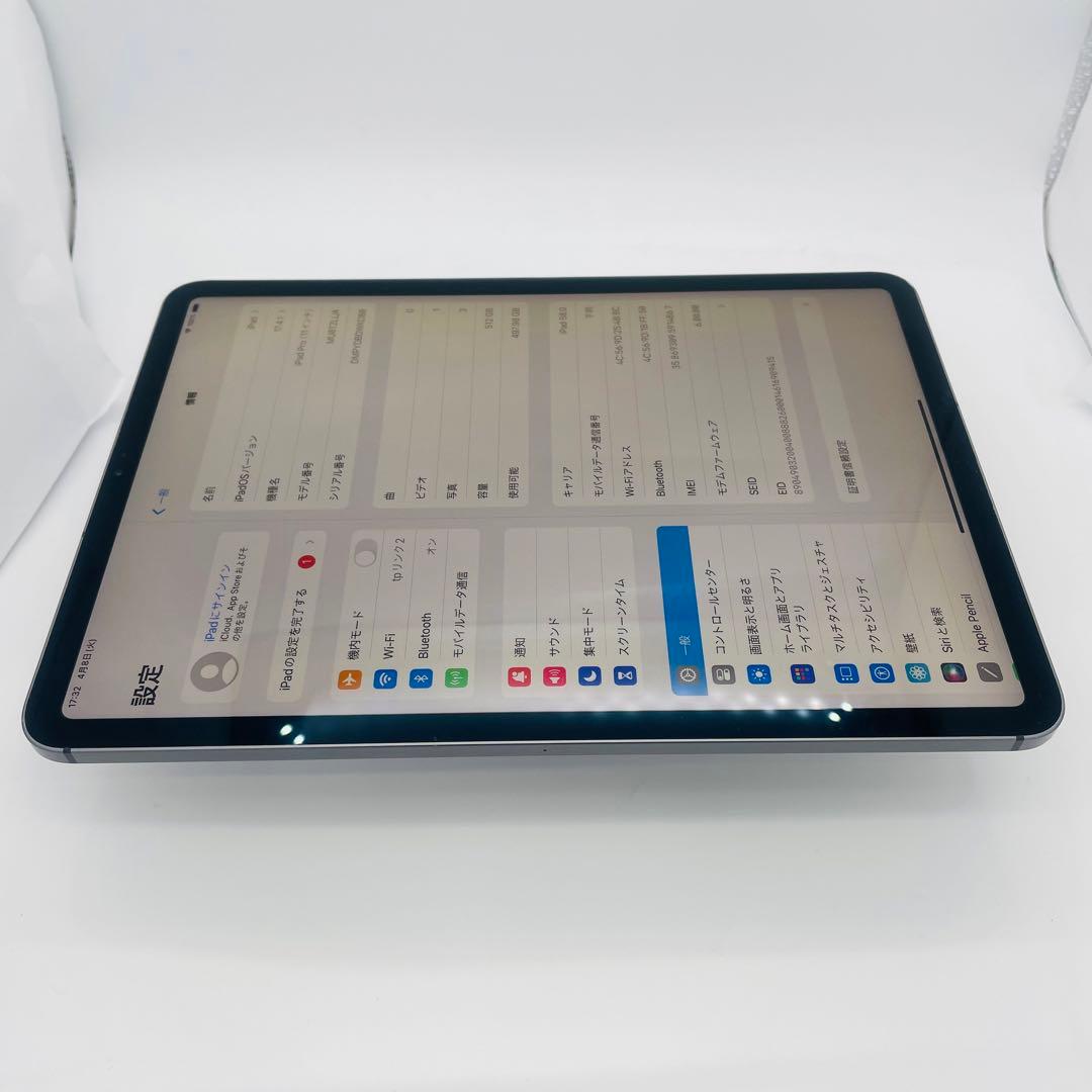 電池100% iPad Pro 11インチ　512 GB セルラー　本体