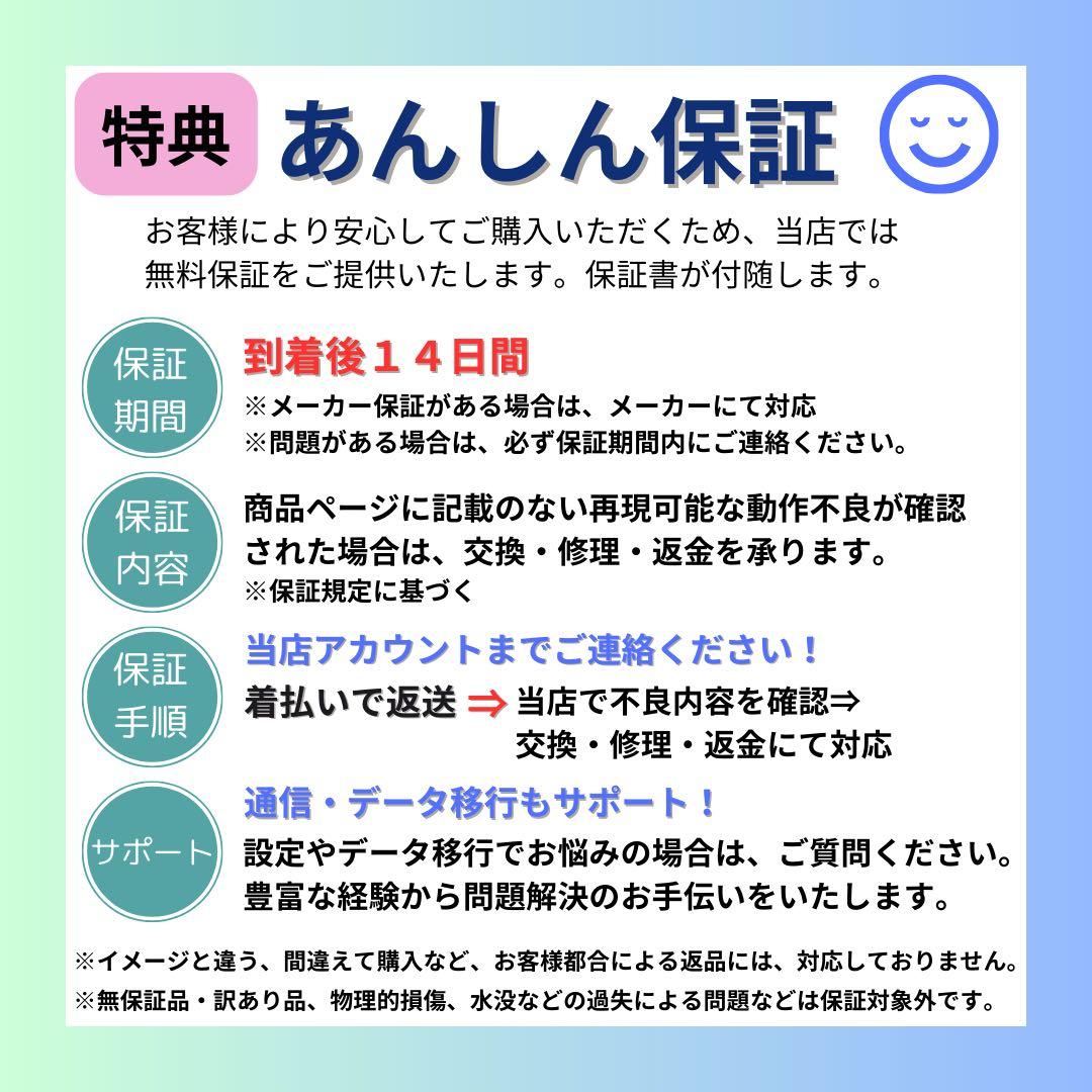 電池100% iPad Pro 11インチ　512 GB セルラー　本体