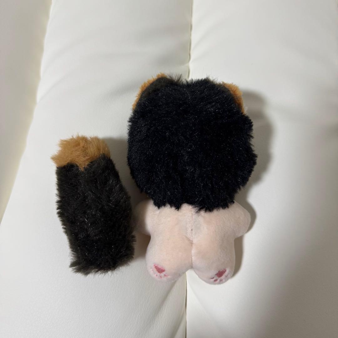 TWS ドフン ぬいぐるみ マスター