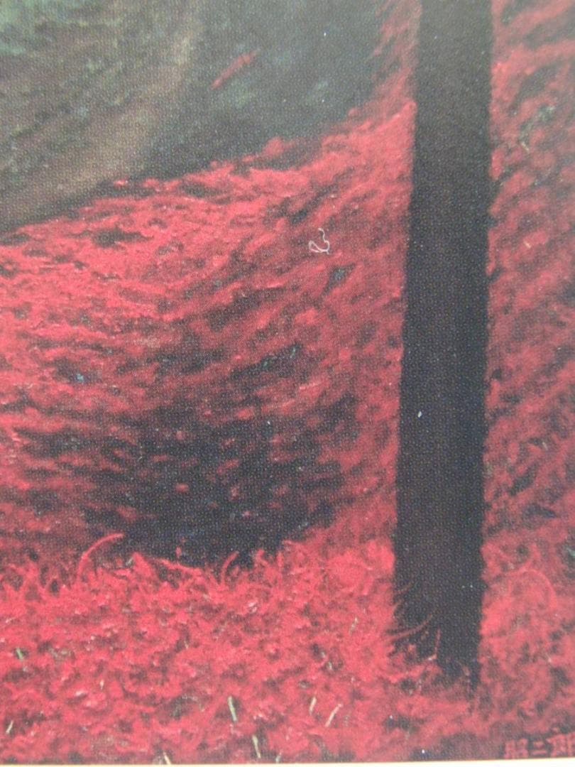 中居 昭二郎「朱の回想」希少画集より、状態良好、新品高級額装付