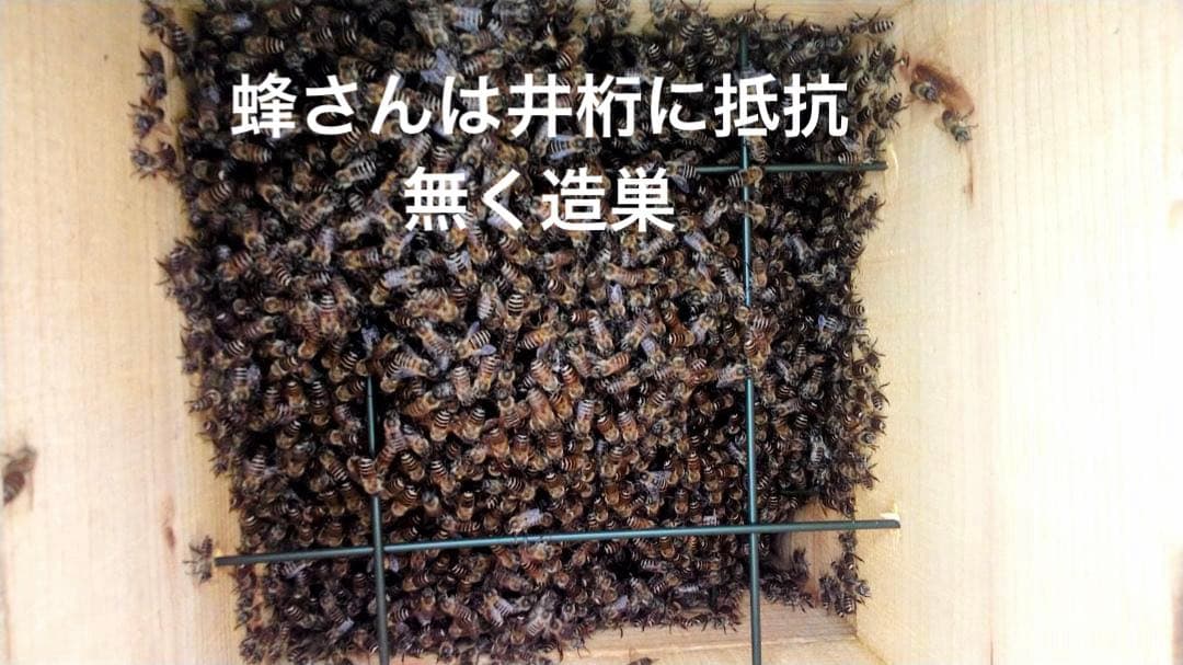 ニホンミツバチ　重箱式巣箱4段 スライド底板 付巣門台座　スノコ付き　セット割引