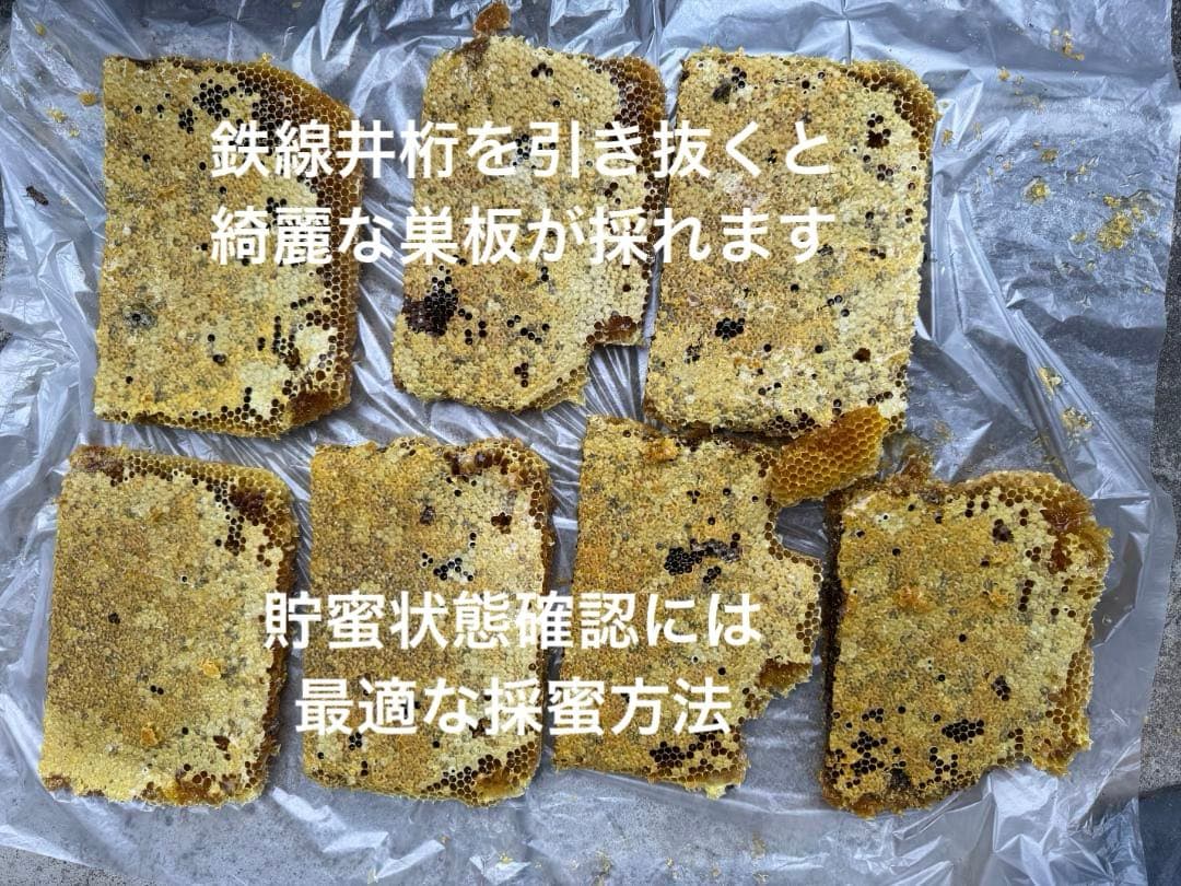 ニホンミツバチ　重箱式巣箱4段 スライド底板 付巣門台座　スノコ付き　セット割引