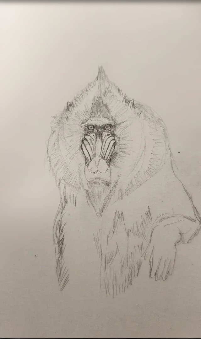 色鉛筆画