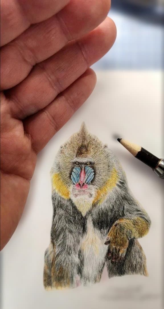 色鉛筆画