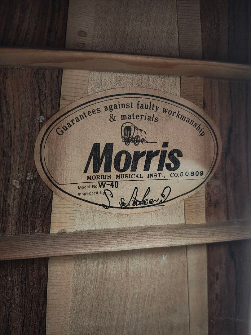MORRIS アコースティックギター　w40