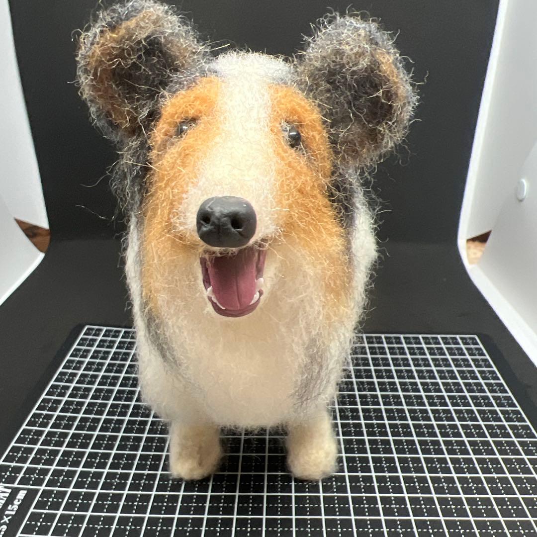 羊毛フェルト犬 シェルティー　　置物
