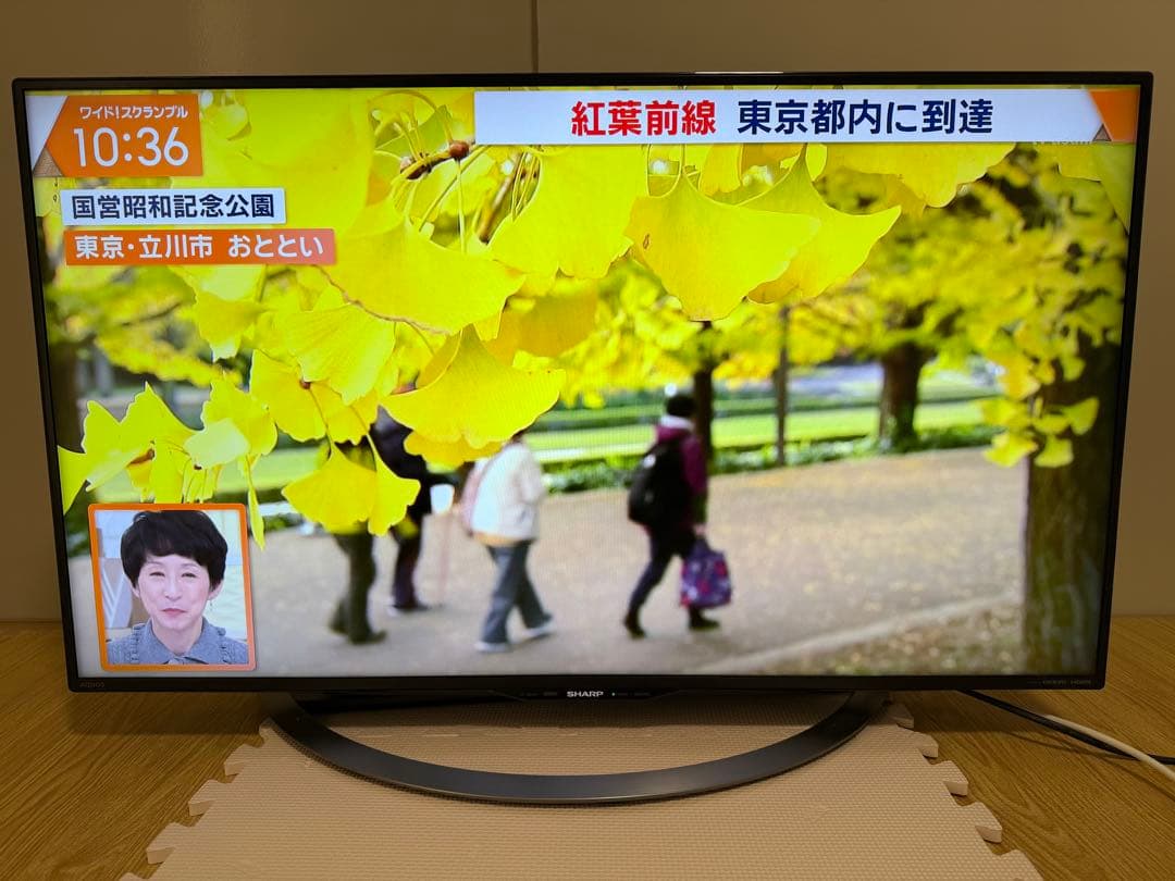 シャープLC-40U45 40型 2017年製⭕️上地、BS/CS、動画可テレビ