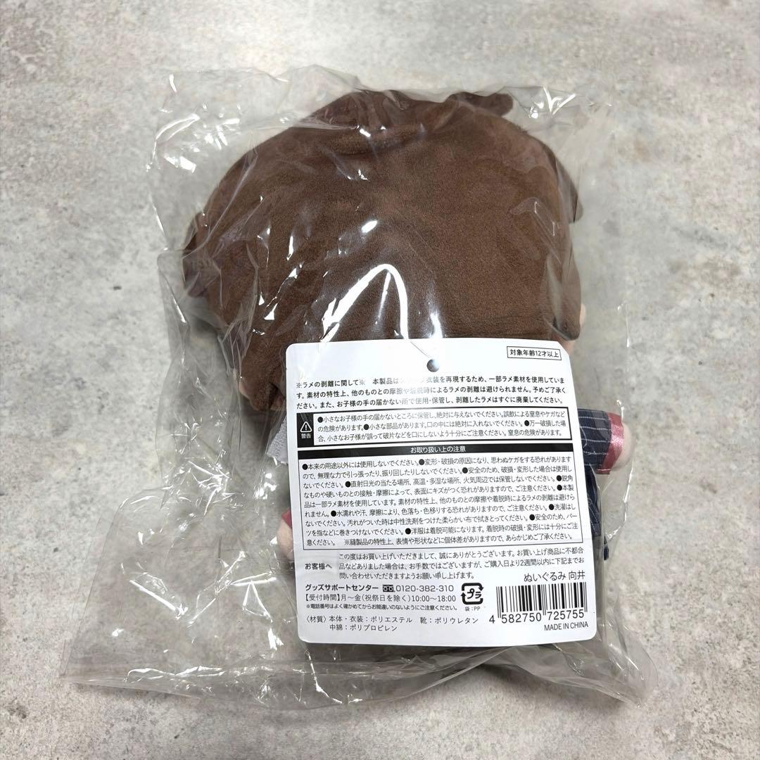 すのチル ぶら下がらないシリーズ BIGぬいぐるみver 向井康二