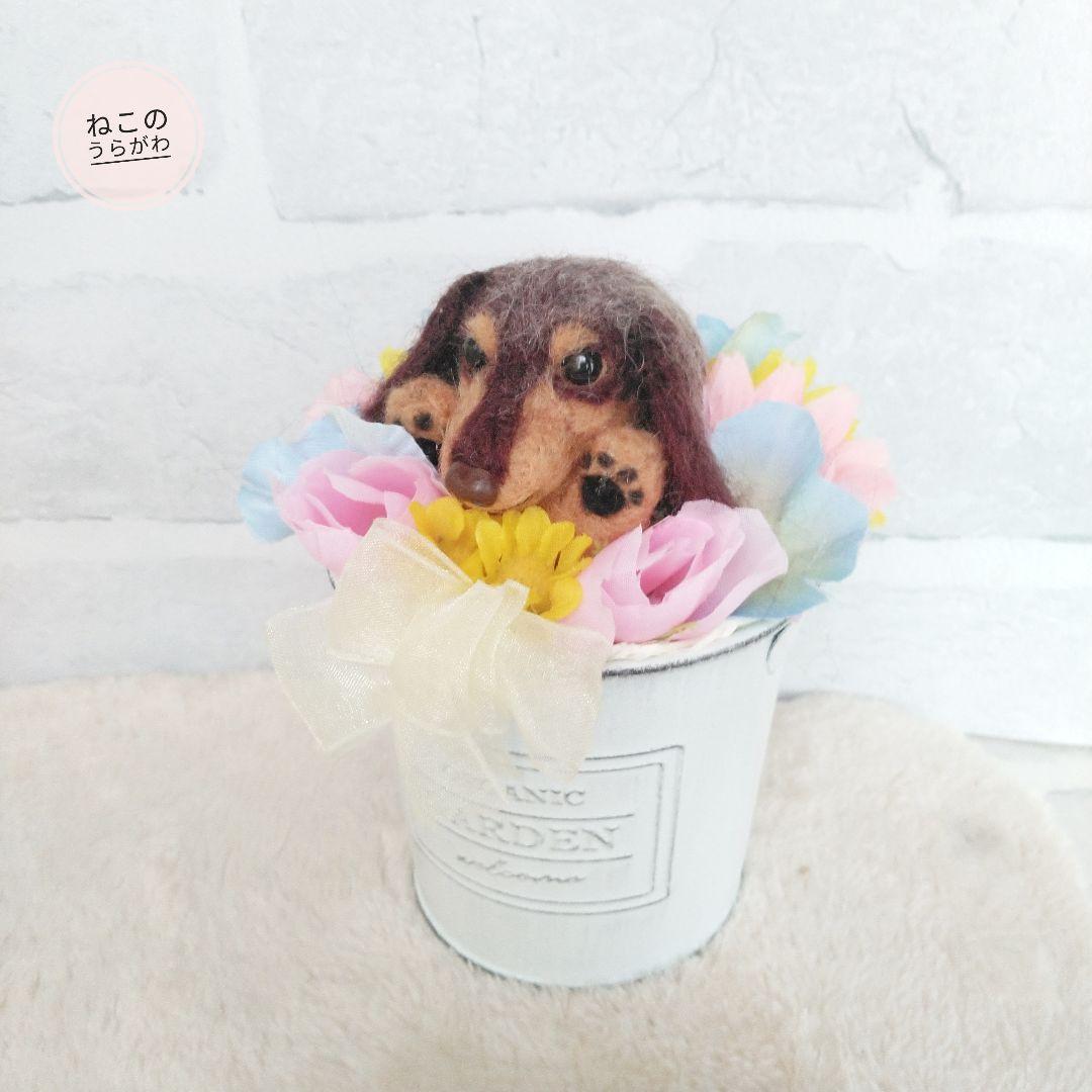 ♥️羊毛フェルト♥️ミニチュアダックスちゃん&アレンジメント♪