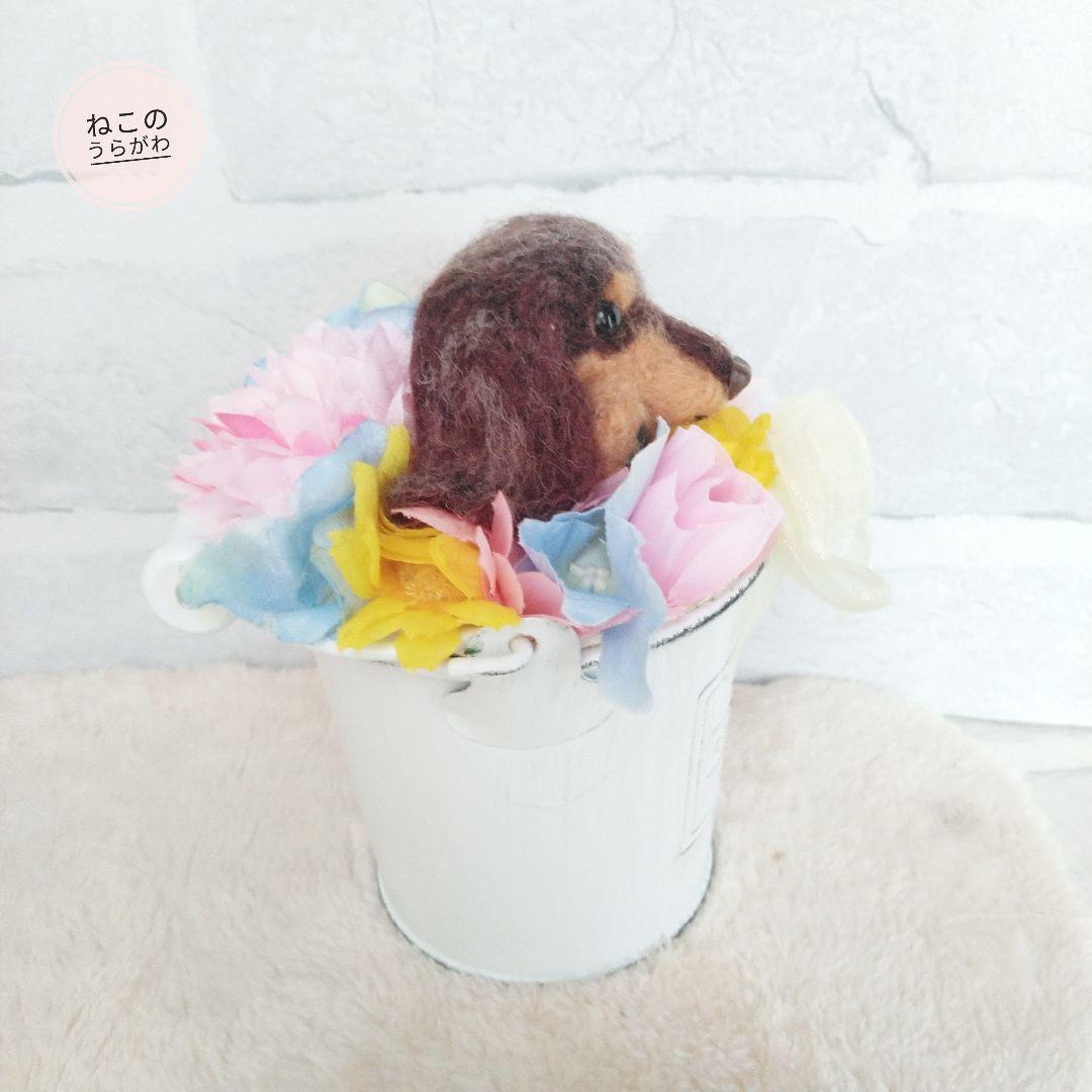 ♥️羊毛フェルト♥️ミニチュアダックスちゃん&アレンジメント♪