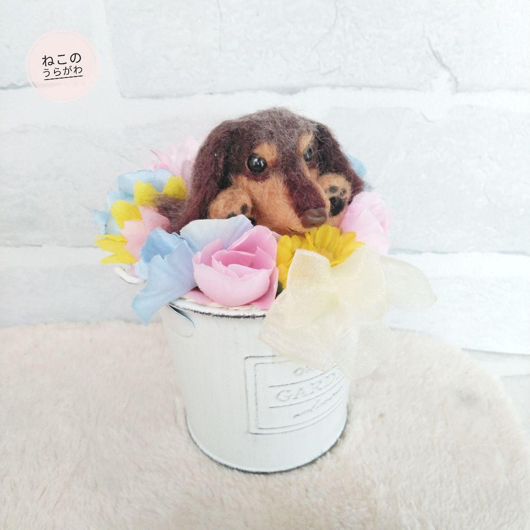 ♥️羊毛フェルト♥️ミニチュアダックスちゃん&アレンジメント♪