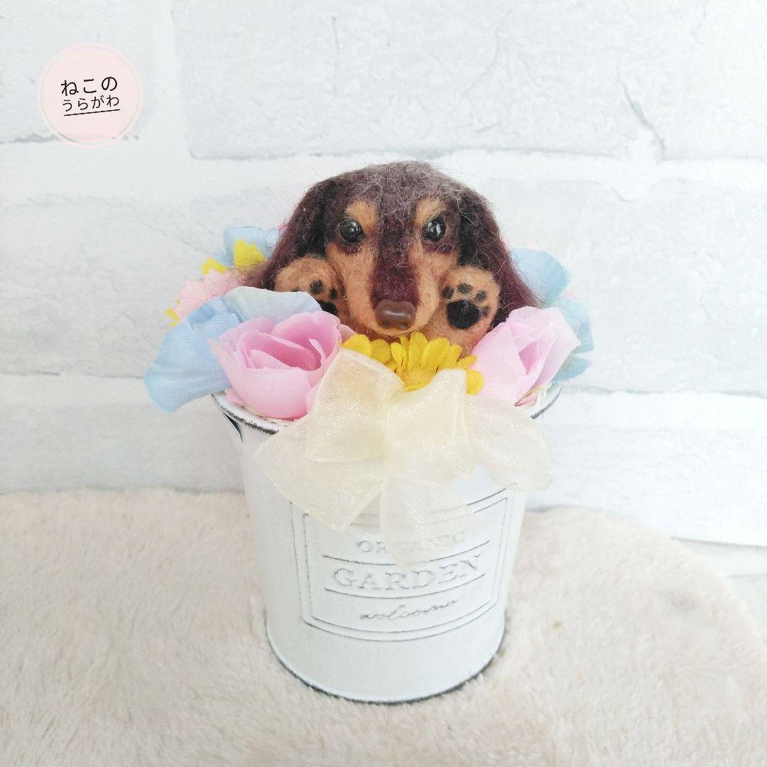 ♥️羊毛フェルト♥️ミニチュアダックスちゃん&アレンジメント♪