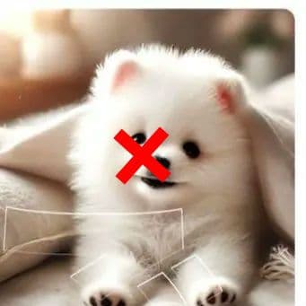 可愛いポメラニアン、柴犬パネル生地　ハンドメイド