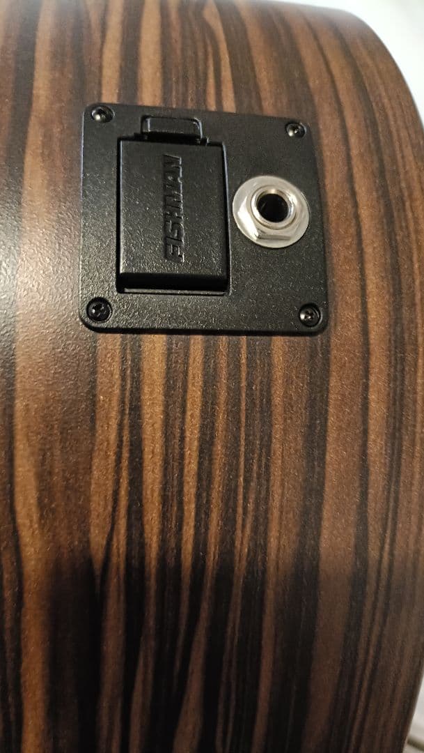 【限定生産完了品】Martin GPCX1AE 20th Anniversary