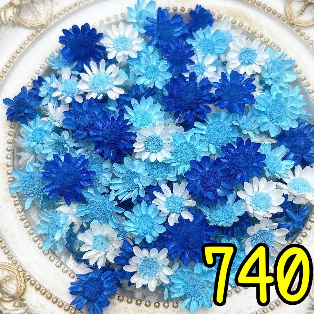 かこページ✩.*˚