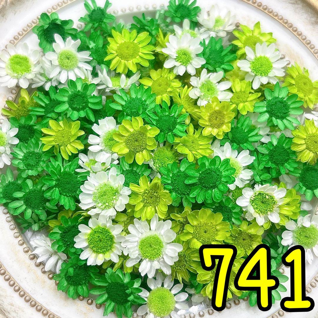 かこページ✩.*˚