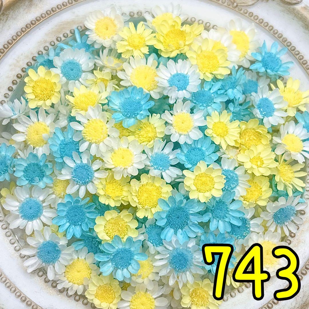 かこページ✩.*˚