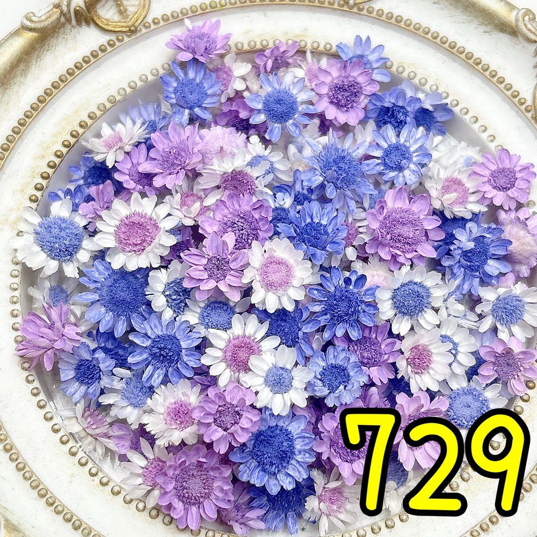 かこページ✩.*˚
