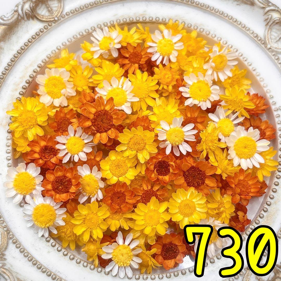 かこページ✩.*˚