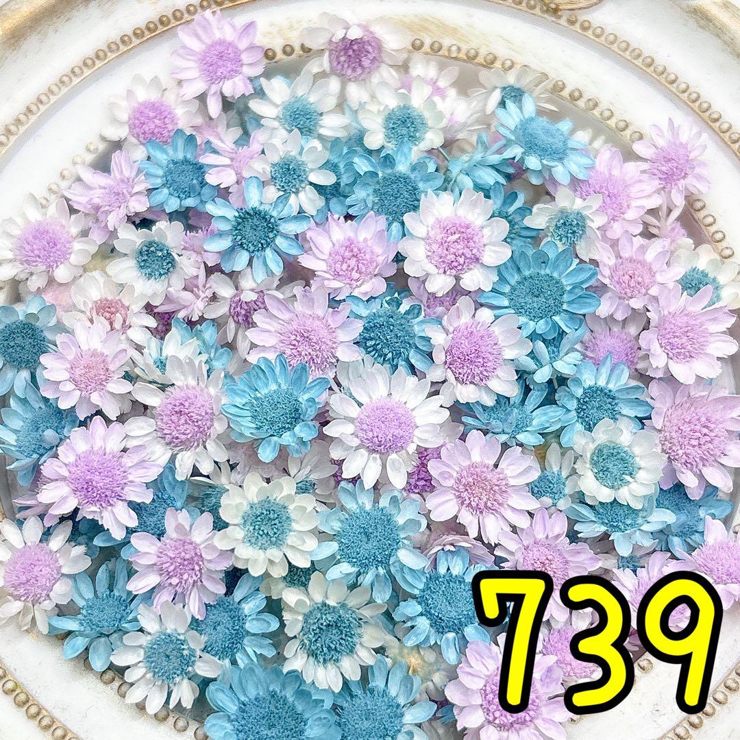 かこページ✩.*˚