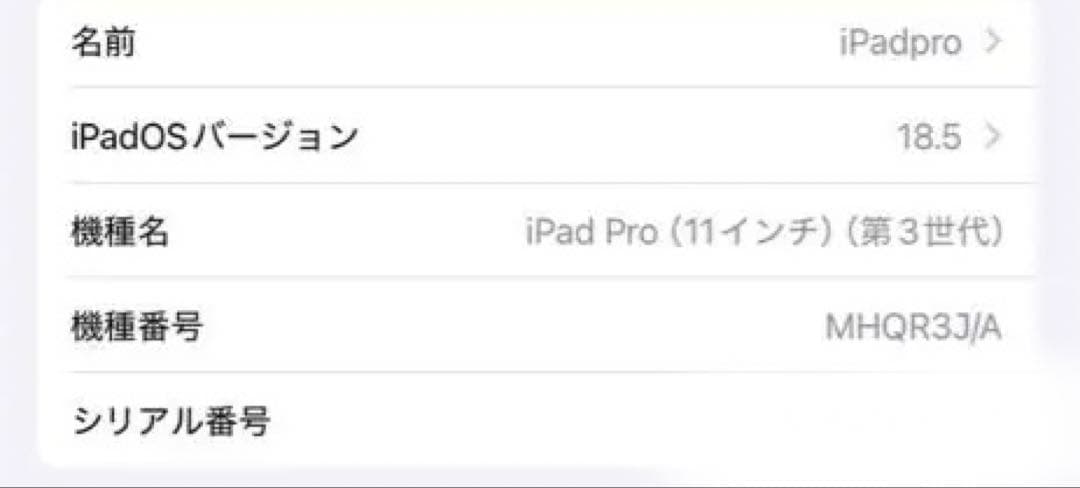 iPad Pro 11インチ 第三世代 128GB 純正Pencil 付き