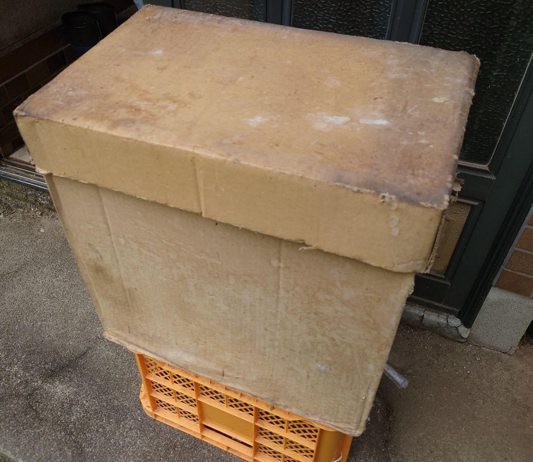 五月人形 瑞半武者人形 兜差  春楓作 (十号)