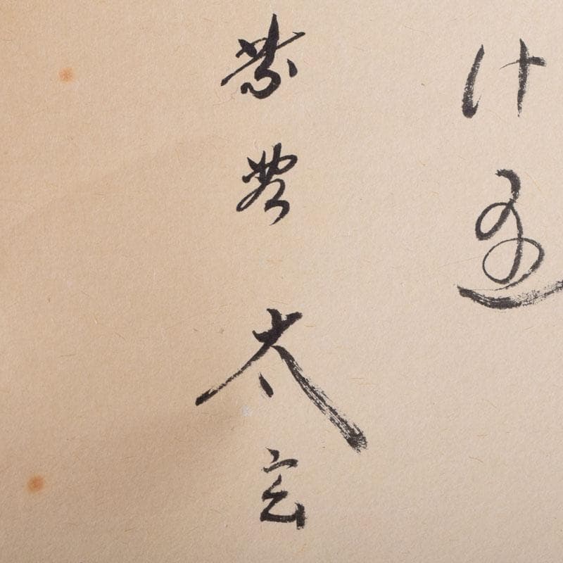 掛軸　紫野　小林太玄書　宗峯画賛　「紅葉の図」　もみじばに　共箱　C　8690A