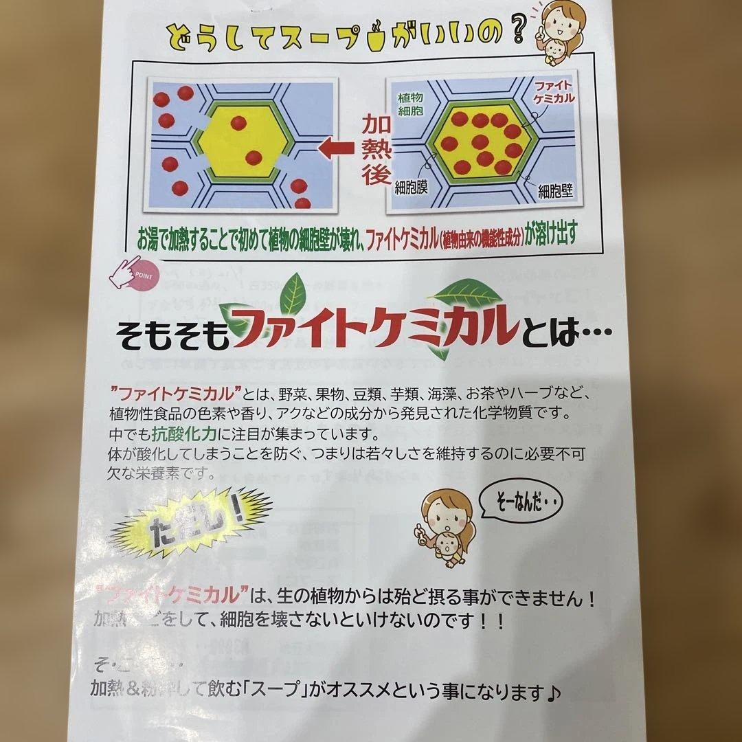 MARUKYU マル球産業 スープの力 スープメーカーDX MS-D847型