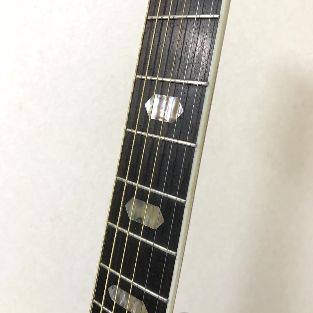 【整備品/良品】MORRIS TF-801 アコースティックギター ハカランダ