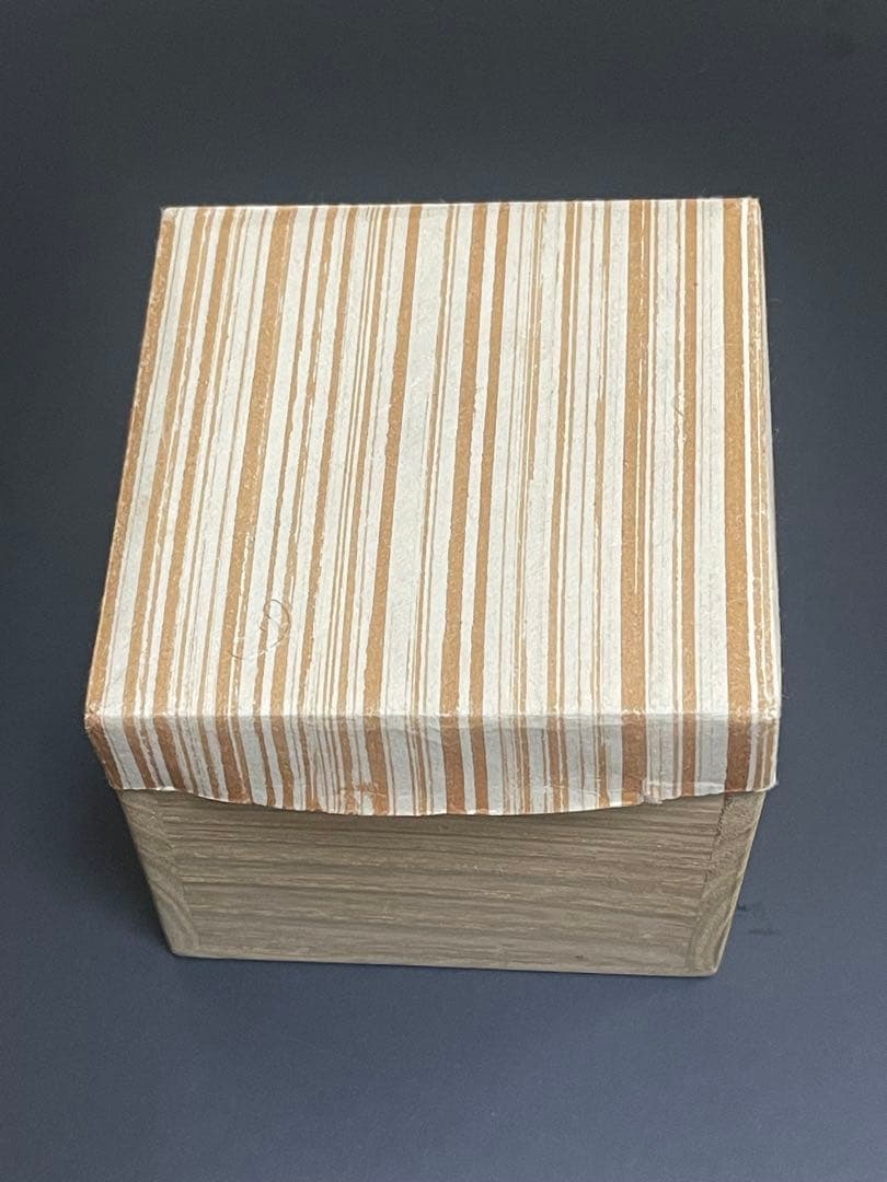 煎茶道具 白泥 湯沸かし 横手急須　湯錐　ボーフラ