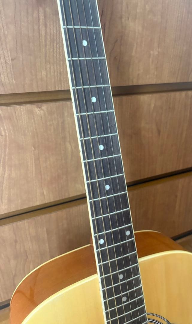 HONEY BEE アコースティックギター